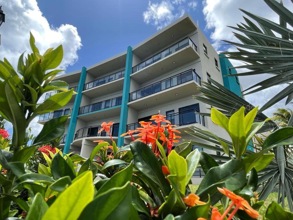Hillsboro Condominiums Basseterre Zewnętrze zdjęcie